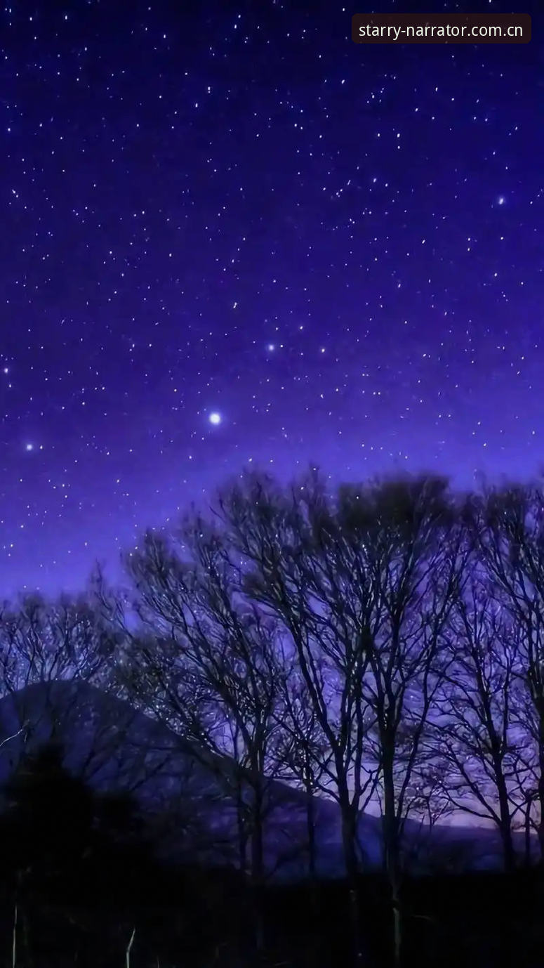 最新夜色叙事者CN登录页 星空体育平台的夜色叙事者CN登录页,用了才知道好在哪?